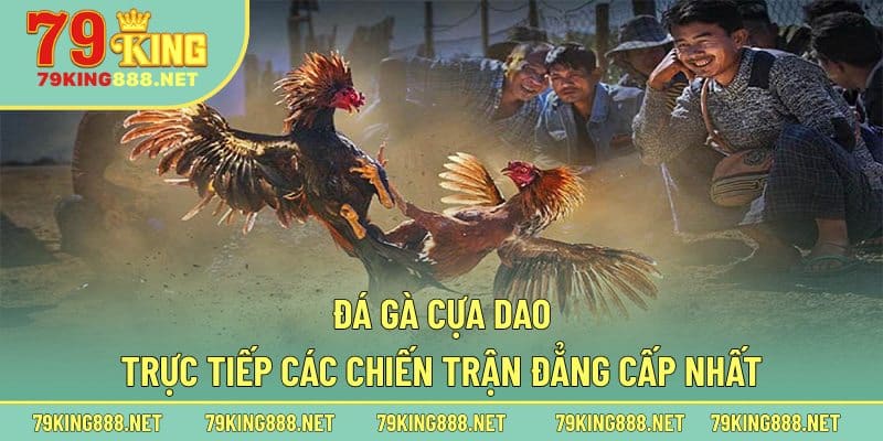 Tìm hiểu sơ lược về hoạt động giải trí đá gà cựa dao